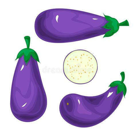 Set Eggplants Vector Illustration Stock Vector Illustration Of