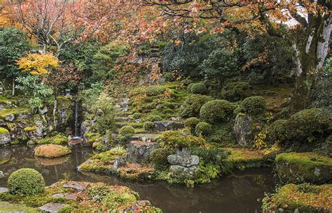 Japanese Garden In Fall Fall Season Autumn Gardens Nature Hd