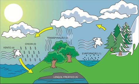 Ciclo Hidrológico Etapas E Fases Mundo Ecologia
