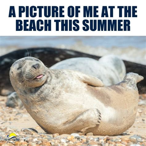 24 Funny Beach Memes Because It S That Time