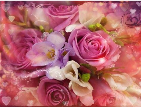 Rose inglesi e la loro incantevole storia fiori per matrimoni. Rose Rosa | Bouquet di rose, Bellissimi fiori, Rose inglesi