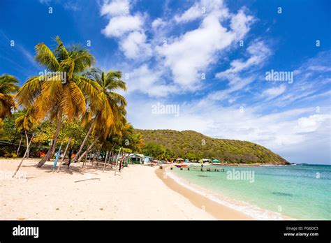 Idyllic Tropical Beach With White Sand Palm Trees And Turquoise