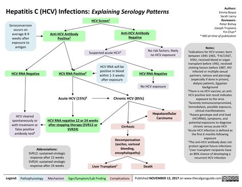 Hepatitis C Hcv Infections Explaining Serology Patterns Calgary Guide