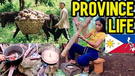 countryside life in the province of philippines mindanao province business idea youtube