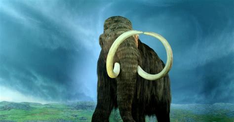 Woolly Mammoth World History Encyclopedia