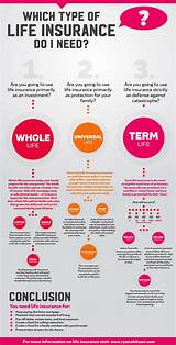 What Type Of Life Insurance Do I Need Infographic Infographic Plaza