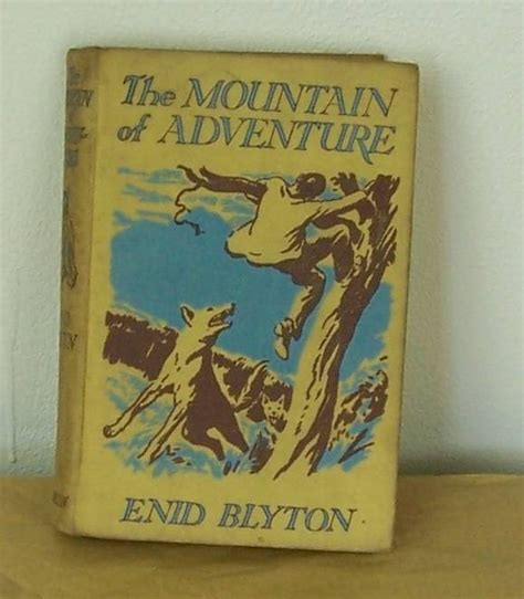Enid Blyton The Mountain Of Adventure Oxfam Shop