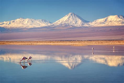 10 Fascinating Facts About The Atacama Desert Peru Tours Travel Talk