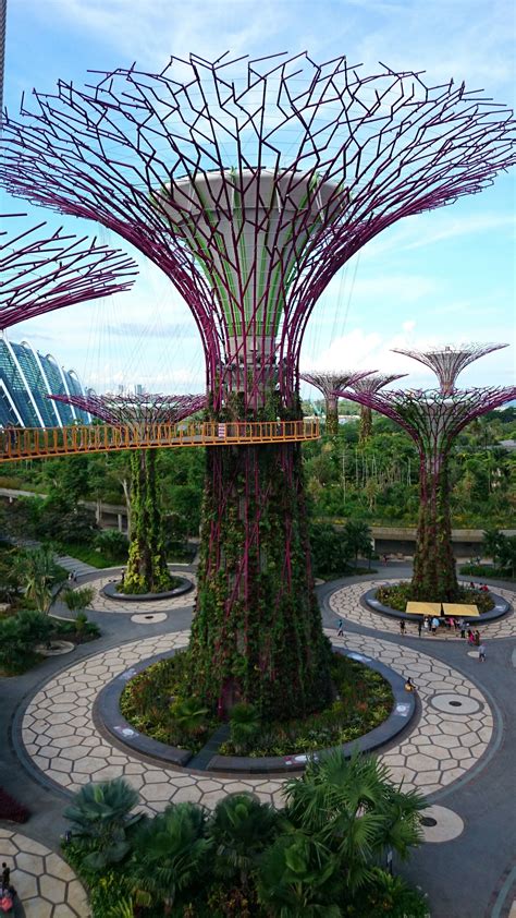 Gardens By The Bay Super Trees Grove And Skyway Singapore Visions