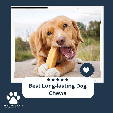 The 11 Best Long Lasting Dog Chews Of 2023