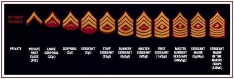 Us Marines Enlisted Ranks Chart Usmc Pinterest Charts Usmc