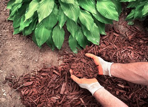 9 Reasons You Should Mulch Your Garden Every Fall Bob Vila