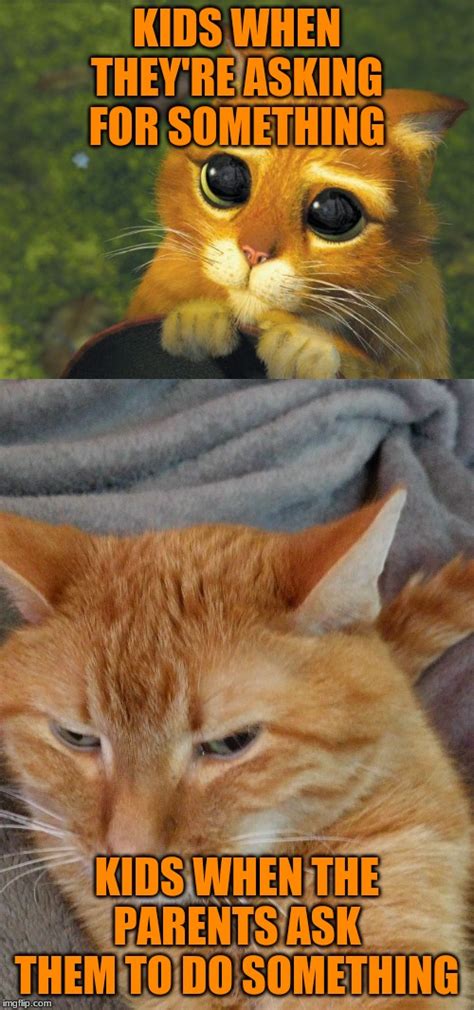 Image Tagged In Pretty Please Catjudgy Orange Cat Imgflip