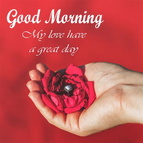 We did not find results for: Good morning wishes to my love