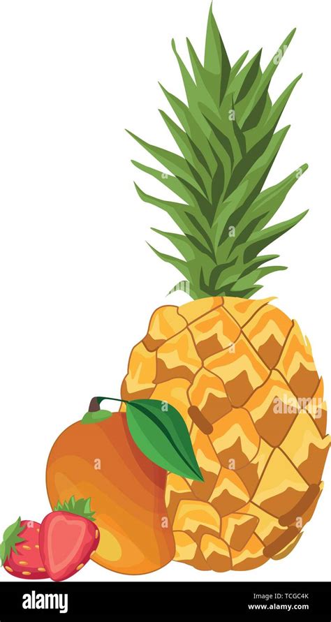 Fresh And Delicious Tropical Fruits Stock Vector Image And Art Alamy