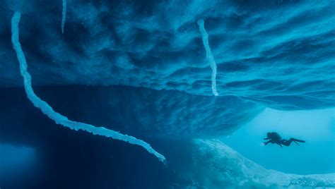 National Geographic In Antarctica Photos Deep Under The Ice Reveal