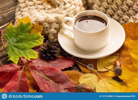Autumn Fall Leaves A Hot Cup Of Coffee And A Warm Scarf