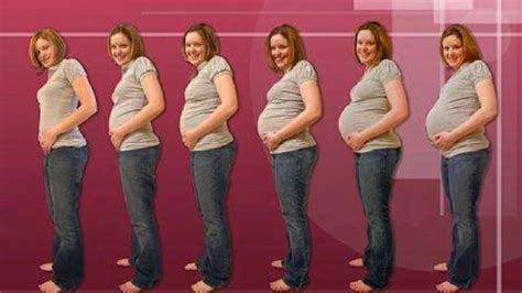 Awkwardness in actions or conduct. Semana 23 a 27 de embarazo / 6to mes / Desarrollo del bebé ...