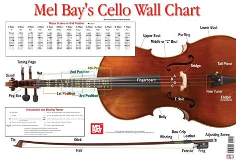 Resultado De Imagen Para Cello Finger Position Cello Cello Lessons
