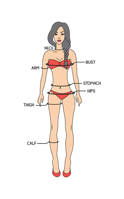 Female Erogenous Zones Body Measurement Chart University Logo Chart Design Body Measurements