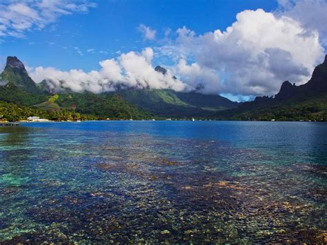 Cooks Bay Moorea South Pacific Hd Desktop Tapety Widescreen High