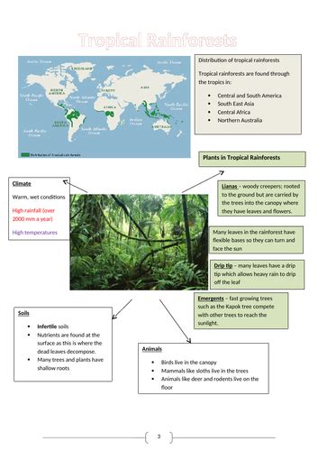 Tropical Rainforests Revision Booklet New Aqa Gcse Geography 9 1 Teaching Resources