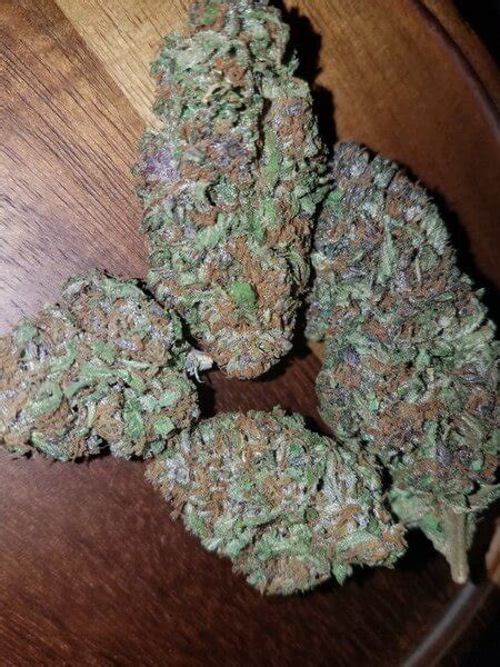 Purple Hindu Kush Strain Cannabis Pharm Uk