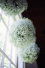 Baby''s Breath Flower Ball Images