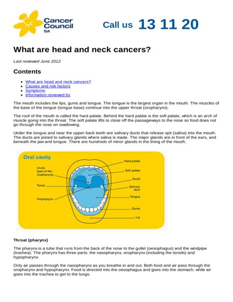 What Are Head And Neck Cancers