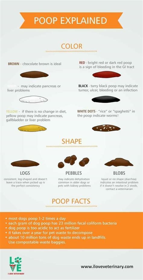 The Dog Poop Color Chart Explained I Love Veterinary