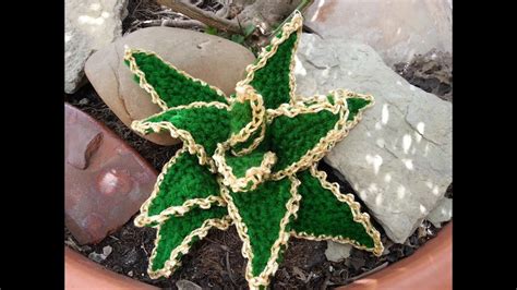 I don't know how to take good care of plants, and they all end up dying! Tutorial de crochet/gancillo, cactus estrellado - YouTube