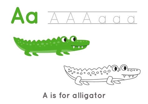 Coloring And Tracing Page With Letter A And Cute Cartoon Alligator