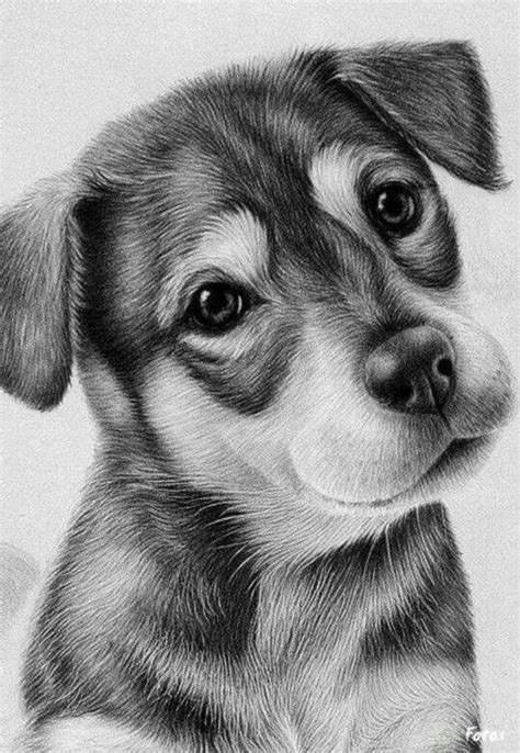50 Easy Pencil Drawings Of Animals That Look So Realistic Dog Pencil