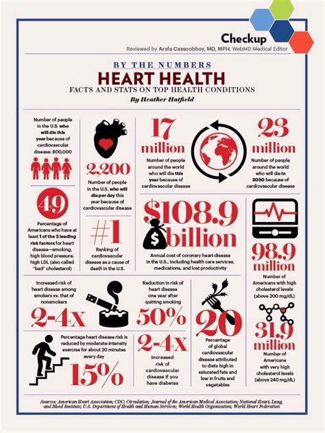 Heart Health Facts You Should Know Musely