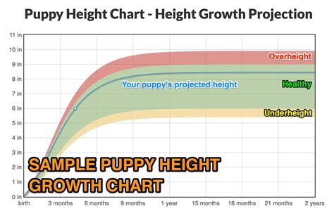 Ciobanesc Românesc Carpatin Height+Growth Chart - How Tall Will My ...