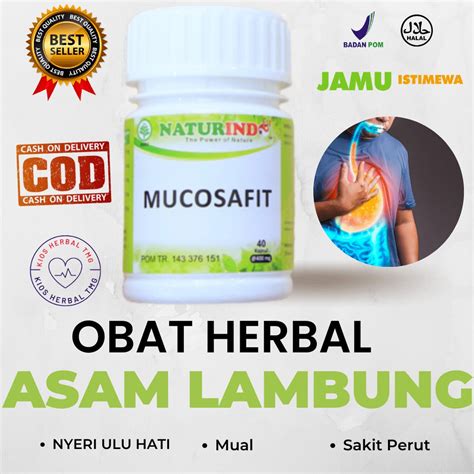 Jual Obat Asam Lambung Herbal Ampuh Obat Gerd Nyeri Ulu Hati Sakit