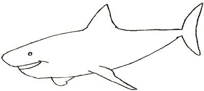 By adding correctly shaped fins and tail and few details, we turn our simple fish into a very real. How to Draw a Shark - Draw Step by Step