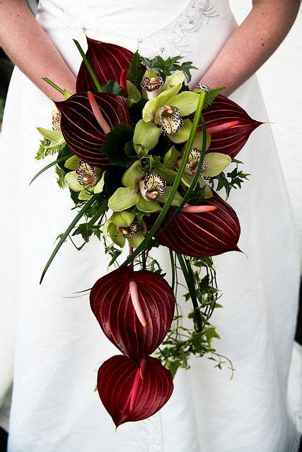 Maybe you would like to learn more about one of these? Anthurium & Orchid bouquet | Flower bouquet wedding ...