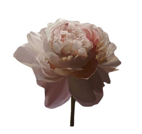 Unfiltered backgrounds for themes and in general !¡ | see more about aesthetic, background and unfiltered. Pin by Julissa Ceballos on (m.) Polyvore Florals 1 | Pink ...