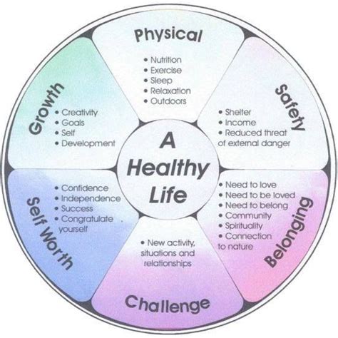 A Healthy Life Wellness Wheel Coping Skills Life