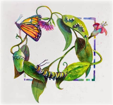 The butterfly tattoo, not to be confused with a moth tattoo has become more and more popular in recent times, symbolizing rebirth, metamorphosis, beauty and new beginnings. Butterfly | Metamorphosis tattoo, Metamorphosis art ...