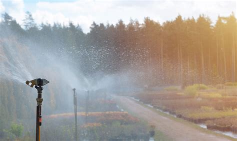 Meager in comparison to developed countries. Choosing the right water-soluble fertilizer | ICL ...