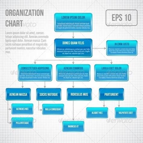 Organizational Chart Infographic Chart Infographic Organizational