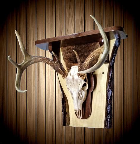 Whitetail Deer Skull Wall Mount European Style Rustic Walnut Wall Shelf