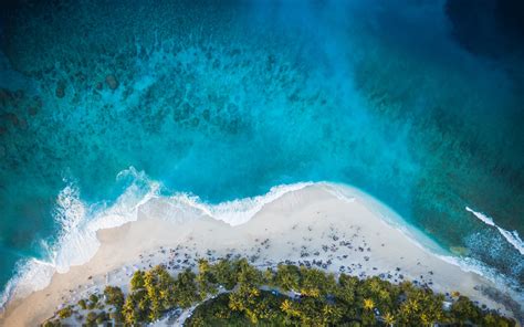 Wallpaper Island Beach Palm Trees Sea Aerial View Hd Widescreen