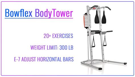 Bowflex Bodytower Review Power Tower Workout Workout Routine Power