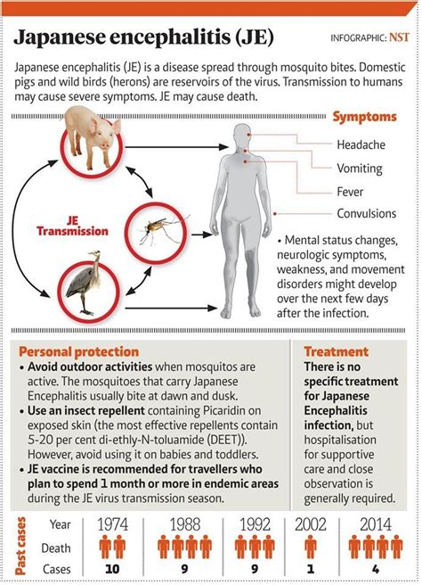 Pin on Japanese encephalitis