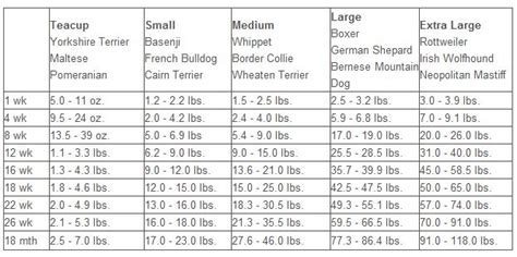 puppy growth chart puppy growth chart labrador puppy growth chart