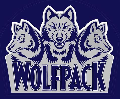 Wolfpack Hockey Action From Nov 19 20 Long Valley Nj Patch