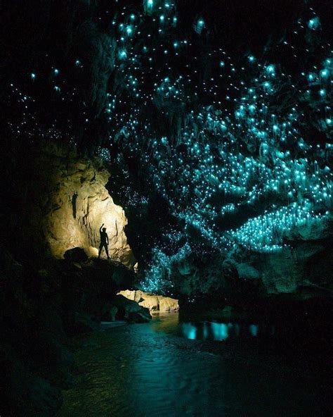 Glow Worm Caves New Zealand Tour Skin Care And Glowing Claude